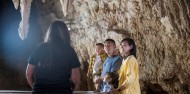 Waitomo Glowworm Caves Day Tour image 5