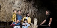 Waitomo Glowworm Caves Day Tour image 2