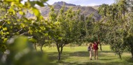 Walter Peak Eco Experience image 4