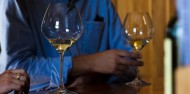 Wine Tour & Maori Culture - Wanahaka image 6