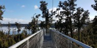 Tree Top Walk - West Coast image 5