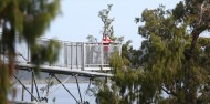 Tree Top Walk - West Coast image 1