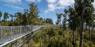 Tree Top Walk - West Coast image 3