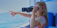 Whale, Dolphin & Island Cruise image 7