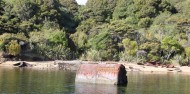 Whalers Base History Tour - Rakiura Charters and Water Taxi image 3