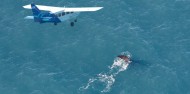 Wings Over Whales- Whale Watching Flights image 1