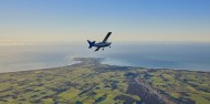 Ziplining & Whale Watching Flight Combo image 3