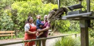 Wildlife Park - Zealandia Wildlife Sanctuary image 6