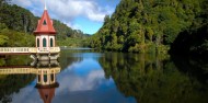 Wildlife Park - Zealandia Wildlife Sanctuary image 2