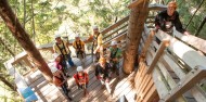 Ziplining - Ziptrek Kea Tour image 8