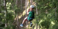 Ziplining - Ziptrek Kea Tour image 10