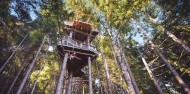 Ziplining - Ziptrek Kereru Tour image 3