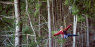 Ziplining - Ziptrek Kereru Tour image 5