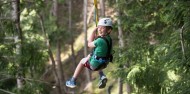 Ziplining - Ziptrek Moa Tour image 1