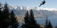 Ziplining - Ziptrek Kea Tour image 5