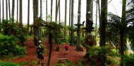 Adventure Park - Adrenalin Forest image 4