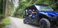 4x4 Buggy Tours - Adventure Playground image 6