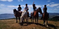 Horse Riding - Adventure Playground image 5