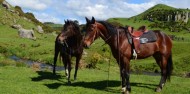 Horse Riding - Adventure Playground image 4