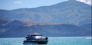 Akaroa Harbour Nature Cruise image 6