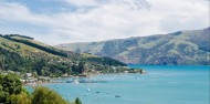 Akaroa Harbour Nature Cruise image 4