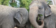 Auckland Zoo - Te Wao Nui - The Living Realm image 6