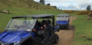 4x4 Buggy Tours - Adventure Playground image 5