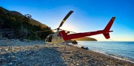 Path of Pounamu - Milford Sound Helicopter & Dart River Jet image 5