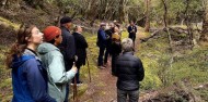 Lake Cruise & Walk - Fiordland Historic Cruises image 3
