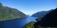 Milford Sound Heli Cruise Heli & Earnslaw Burn image 5