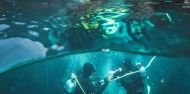 Scuba Diving - Dive Tutukaka image 6