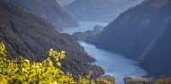 Doubtful Sound Wilderness Day Cruise - RealNZ image 7