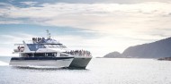 Doubtful Sound Wilderness Day Cruise - RealNZ image 2