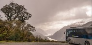 Doubtful Sound Wilderness Day Cruise - RealNZ image 4