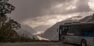 Doubtful Sound Overnight Cruise Quad Share Room image 5
