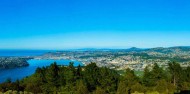 Signal Hill Lookout