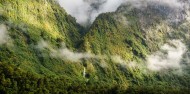 Fiordland Expeditions Overnight Cruise image 6