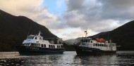 Fiordland Expeditions Overnight Cruise image 7