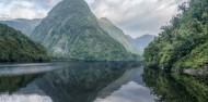 Fiordland Expeditions Overnight Cruise image 3