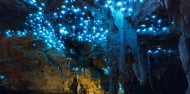 Waitomo Glow Worm Caves - Glowing Adventures image 3