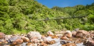 Guided Walks - Discover the Karangahake Gorge image 4