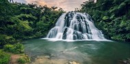 Guided Walks - Discover the Karangahake Gorge image 1