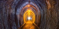 Guided Walks - Discover the Karangahake Gorge image 3