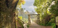 Guided Walks - Discover the Karangahake Gorge image 2