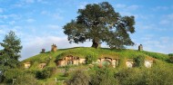 Half Day Hobbiton Movie Set Tour departing Rotorua - Headfirst Travel image 1
