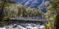 Guided Walks - Full Day Routeburn Nature Walk image 8