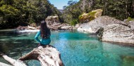 Guided Walks - Full Day Routeburn Nature Walk image 6