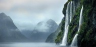 Milford Sound Overnight Cruise - Fiordland Discovery image 11