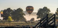 Hot Air Balloons - Kiwi Balloon image 5