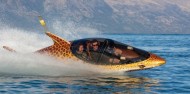 Jet Boat - Hydro Attack image 5